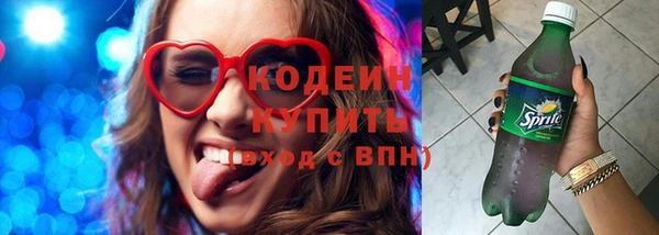 дурь Пересвет