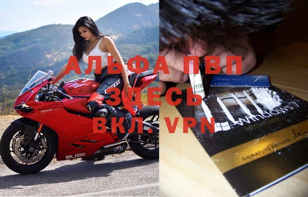 дурь Пересвет