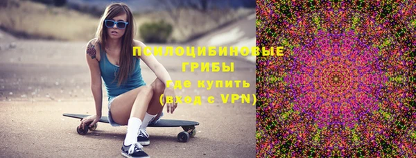 ешки Переславль-Залесский