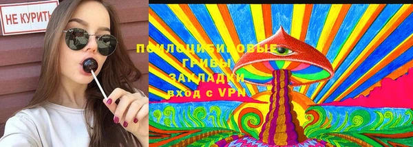 ешки Переславль-Залесский