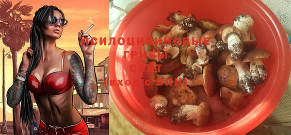 ешки Переславль-Залесский