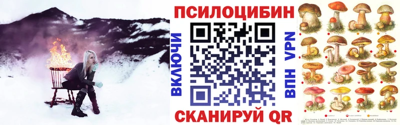 Псилоцибиновые грибы Psilocybe  сайты даркнета формула  Болохово 